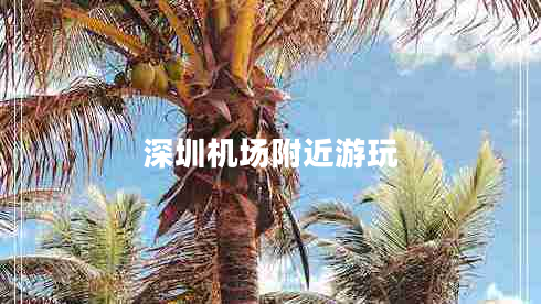 深圳機場附近游玩