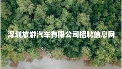 深圳旅游汽車有限公司招聘信息網