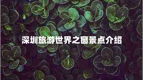 深圳旅游世界之窗景點介紹