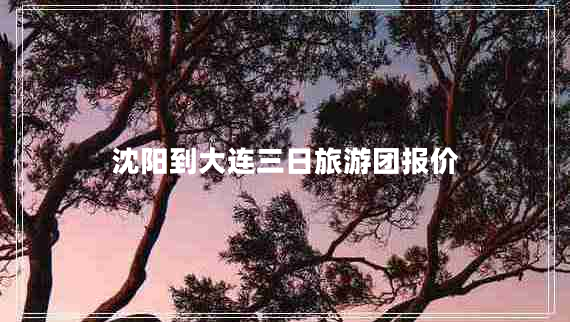 沈陽到大連三日旅游團(tuán)報價
