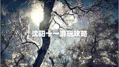 沈陽十一游玩攻略