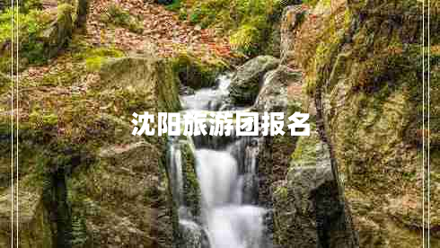 沈陽旅游團(tuán)報(bào)名