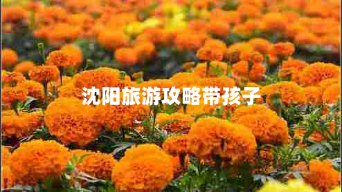 沈陽旅游攻略帶孩子