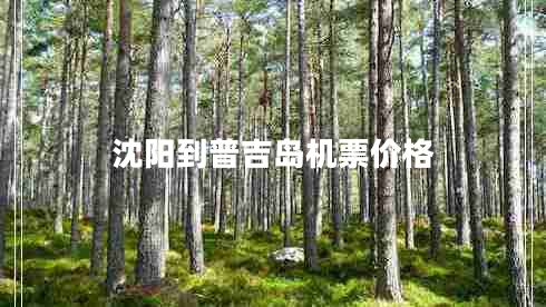 沈陽(yáng)到普吉島機(jī)票價(jià)格