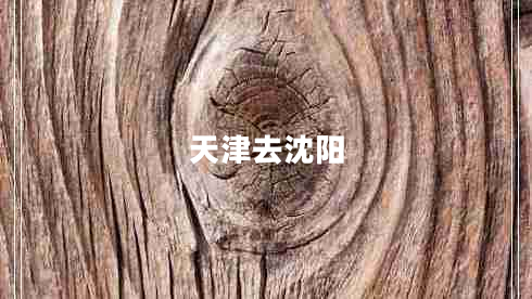 天津去沈陽