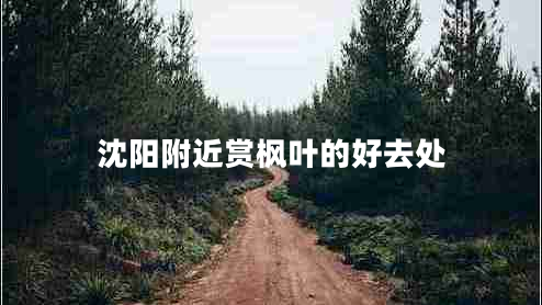 沈陽附近賞楓葉的好去處