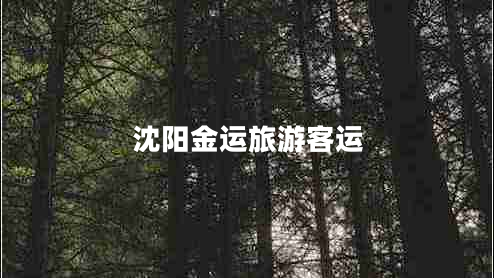 沈陽金運(yùn)旅游客運(yùn)