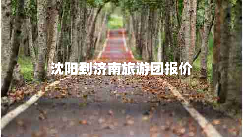 沈陽到濟南旅游團報價