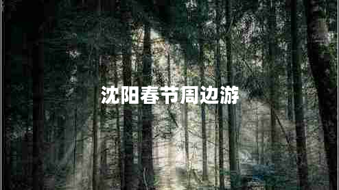 沈陽春節(jié)周邊游