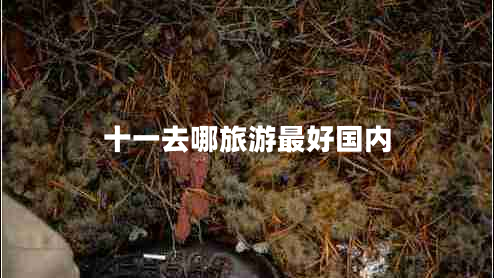 十一去哪旅游最好國(guó)內(nèi)