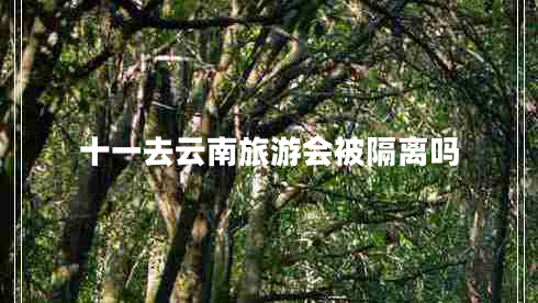 十一去云南旅游會被隔離嗎