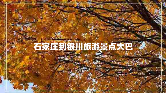 石家莊到銀川旅游景點大巴