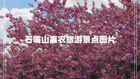 石嘴山惠農(nóng)旅游景點(diǎn)圖片