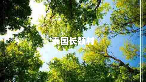泰國(guó)長(zhǎng)頸村