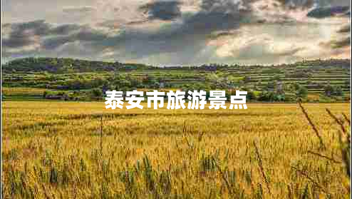 泰安市旅游景點