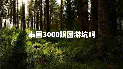 泰國3000跟團(tuán)游坑嗎