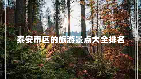 泰安市區(qū)的旅游景點大全排名