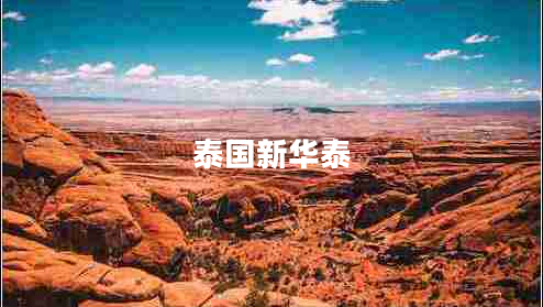 泰國(guó)新華泰