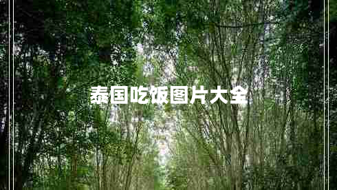 泰國(guó)吃飯圖片大全