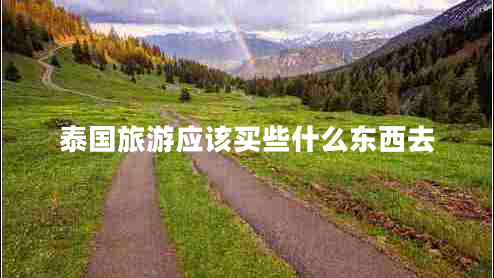 泰國旅游應該買些什么東西去