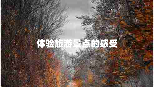 體驗旅游景點的感受
