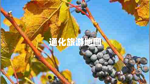 通化旅游地圖