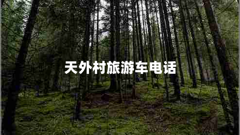 天外村旅游車(chē)電話