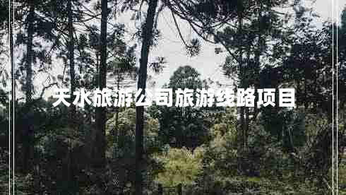 天水旅游公司旅游線路項(xiàng)目