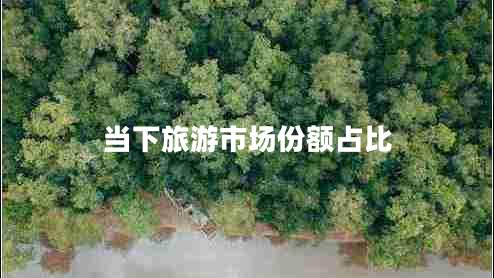 當(dāng)下旅游市場(chǎng)份額占比