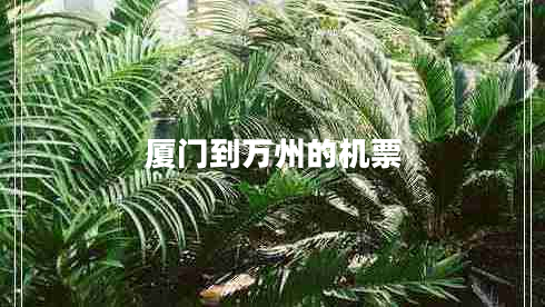 廈門到萬州的機(jī)票