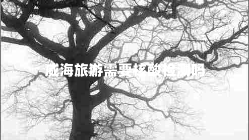 威海旅游需要核酸檢測(cè)嗎