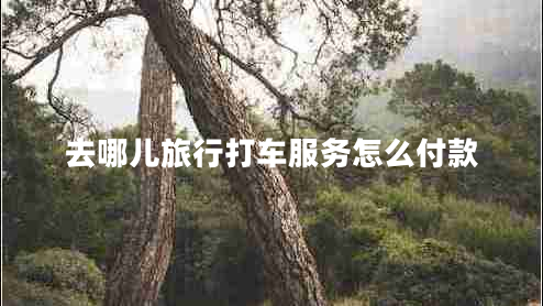 去哪兒旅行打車服務怎么付款
