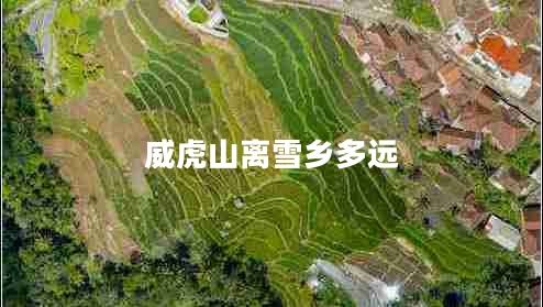 威虎山離雪鄉(xiāng)多遠
