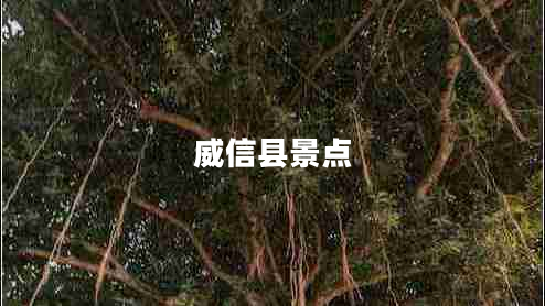 威信縣景點