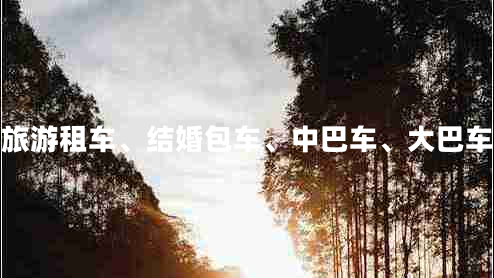 咸陽(yáng)企業(yè)旅游租車、結(jié)婚包車、中巴車、大巴車、商務(wù)車