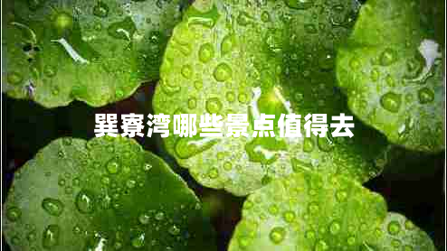 巽寮灣哪些景點值得去