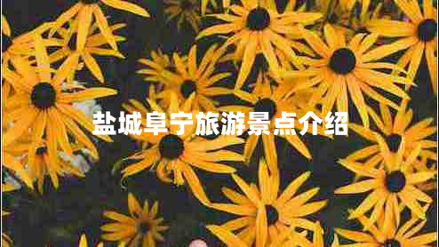 鹽城阜寧旅游景點介紹