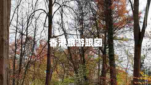 香港旅游跟團