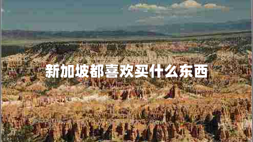 新加坡都喜歡買(mǎi)什么東西