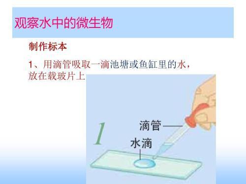 何為觀察常見(jiàn)的觀察方法有哪些