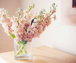 保護(hù)花的方法有哪些方面