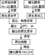 誘導動物細胞融合的方法有哪些