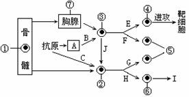 減少或防止苷水解的實(shí)驗(yàn)方法有哪些