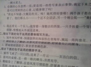句子應用的描寫方法有哪些