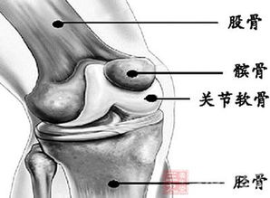 退行性骨關(guān)節(jié)炎的治療方法有哪些