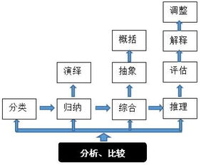 常見的科學思維方法有哪些