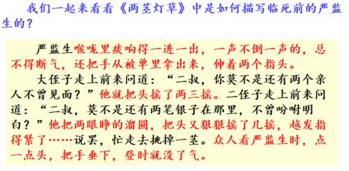 文章描寫方法有哪些特點