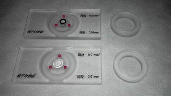精子計數(shù)用什么方法有哪些