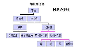 常見分類方法有哪些類型