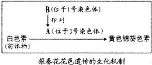 植物多倍體誘導(dǎo)采用哪些方法
